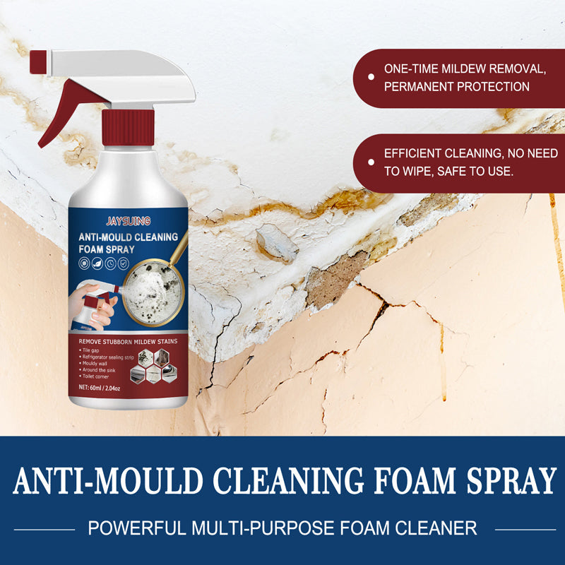 Mildew Cleaner Foam Spray