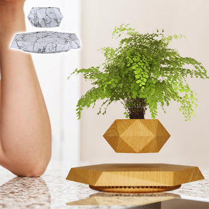 🔥The latest black technology:🪴Magnetic levitation planter (without plants)