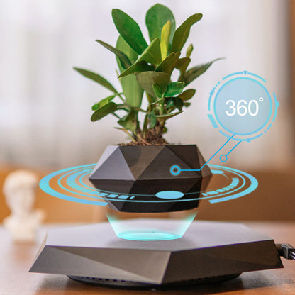 🔥The latest black technology:🪴Magnetic levitation planter (without plants)