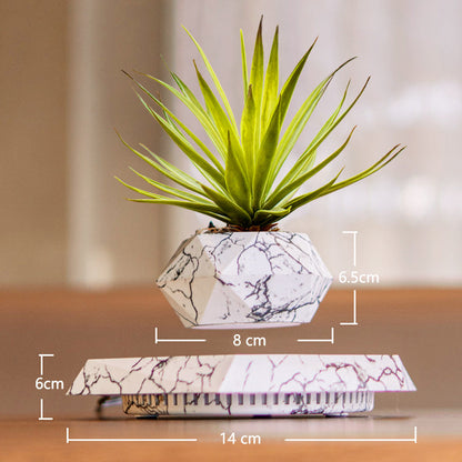 🔥The latest black technology:🪴Magnetic levitation planter (without plants)