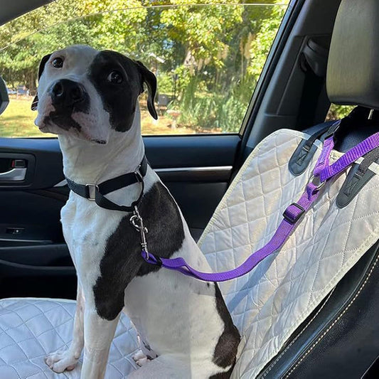 📢📢50% OFF !!⏰2-in-1 Dog Car Seat Belt & Walking Leash