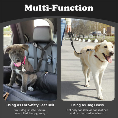 📢📢50% OFF !!⏰2-in-1 Dog Car Seat Belt & Walking Leash