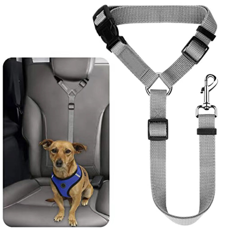 📢📢50% OFF !!⏰2-in-1 Dog Car Seat Belt & Walking Leash