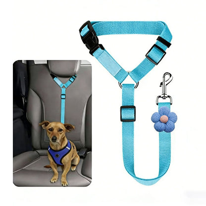 📢📢50% OFF !!⏰2-in-1 Dog Car Seat Belt & Walking Leash